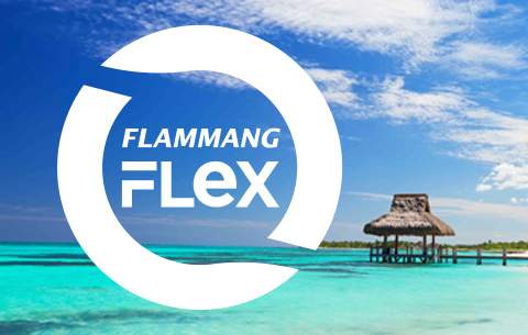 Flammang Flex